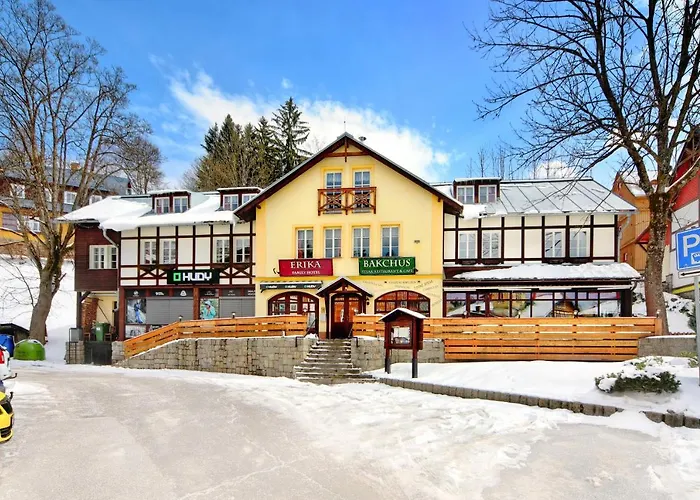 Hotel Erika