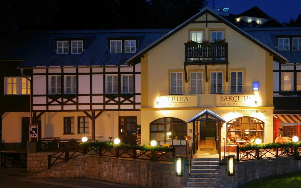 Hotel Erika 3*